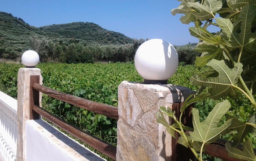Zantegarden Apartments Alykanas  Oda fotoğraf